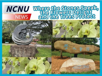 Where the Stones Speak, the Flowers Delight and the Trees ProtectImage
